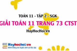 Giải Toán 11 trang 73 tập 2 Chân trời sáng tạo